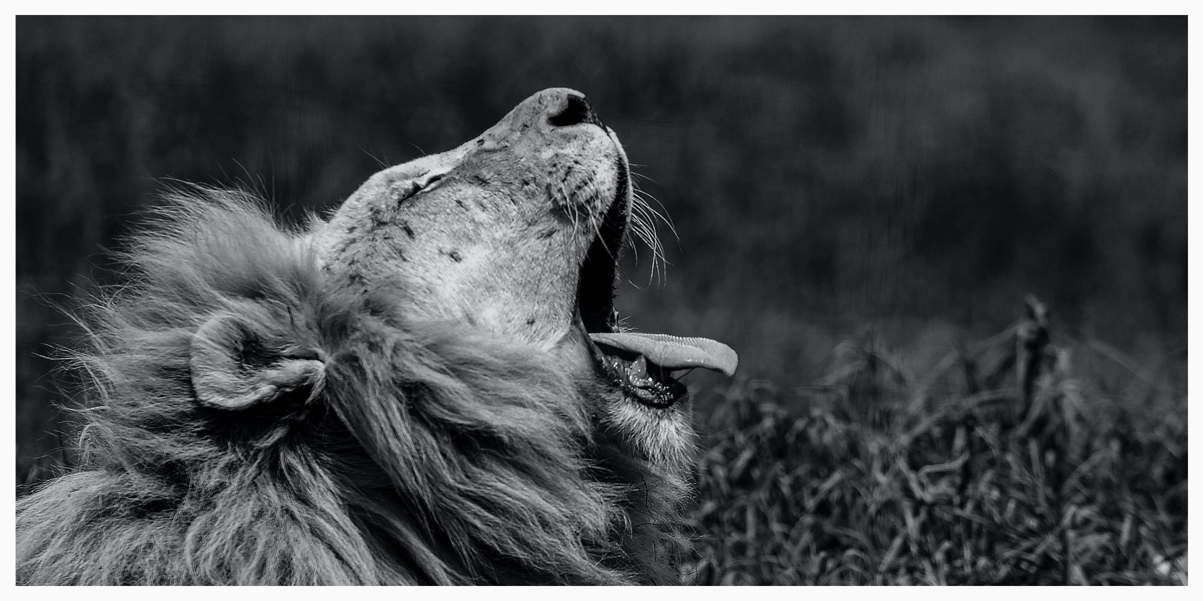 Taking a breath image